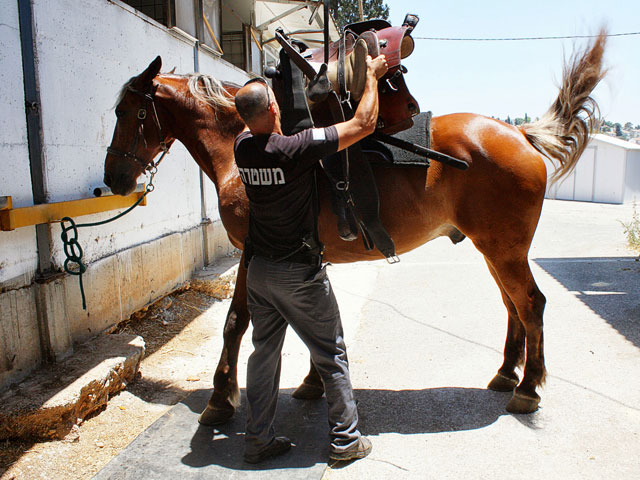 Полицейская конюшня около Кирьят-Аты  
