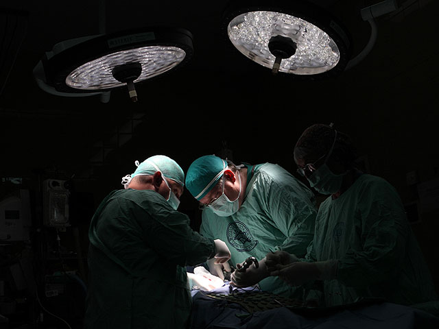 В 2013-м году в Израиле сократилась очередь на пересадку органов