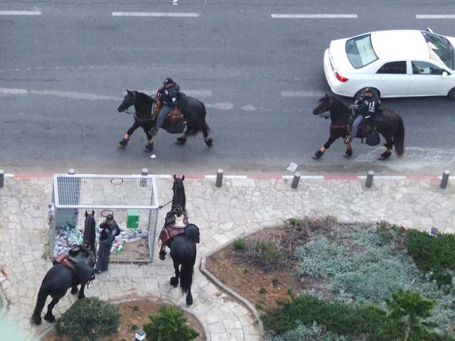 За проведением акции следят сотрудники правоохранительных органов, в том числе конная полиция