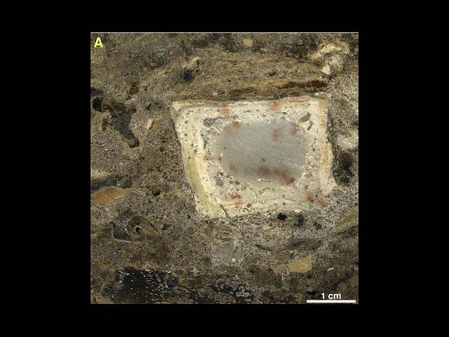 Возле Рош-Аина найден древнейший в мире очаг возрастом в 300 тысяч лет