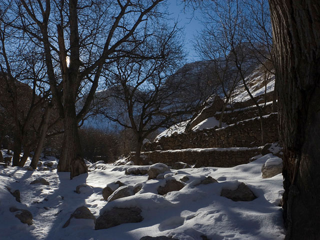 Рекордные снегопады в Иране: миллионы остались без электричества 