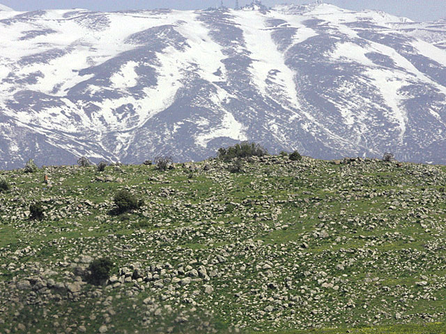 Снегопад начался не только на Хермоне, но также в Верхней Галилее