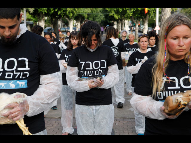 Акция защитников прав животных в Тель-Авиве. 2 июня 2013 года