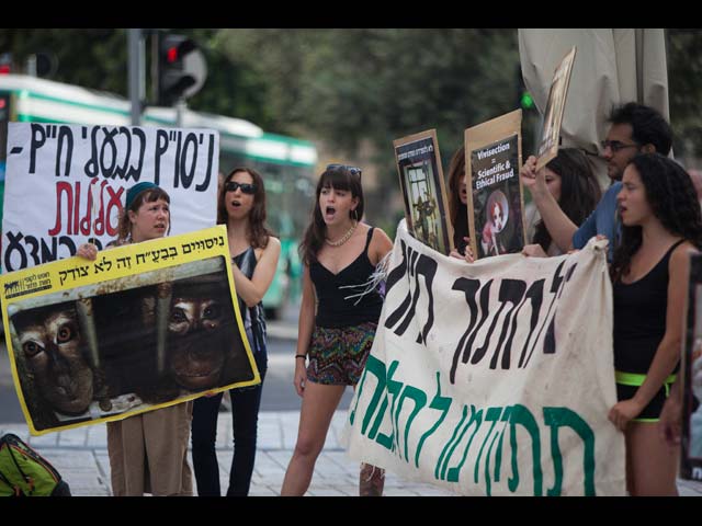 Акция защитников прав животных. Иерусалим, 24 апреля 2014 года