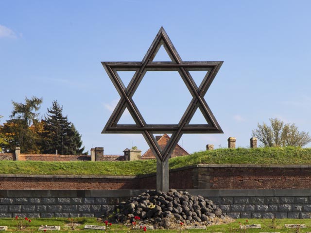 Еврейский ультраортодоксальный новостной сайт: "В Холокосте виноваты ционацисты"