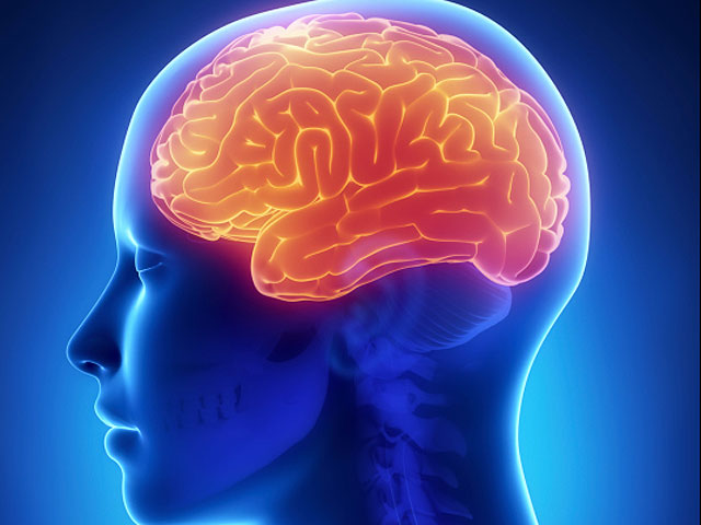 Ученые из Стэнфордского университета нашли способ омоложения мозга