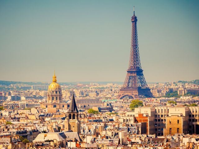 Арестован французский мясник, планировавший взорвать Лувр и Эйфелеву башню  