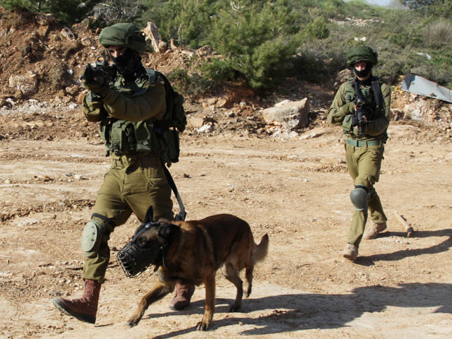 С начала боев в Газе кинологический спецназ "Окец" потерял пятерых четвероногих бойцов  