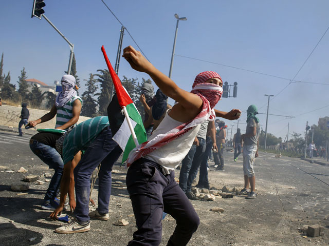 Палестинцы учат американских манифестантов противостоять полиции   