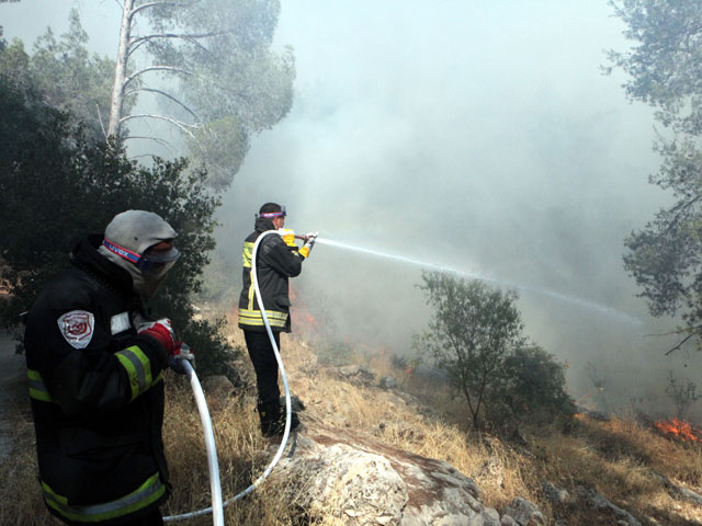 26 пожарных расчетов задействованы в тушении лесного пожара в районе Бейт-Шемеша