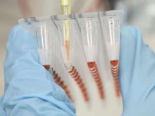 Экспериментальная вакцина от Эболы дала отличные результаты на испытаниях на макаках