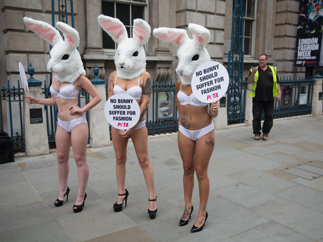 Акция PETA в Лондоне. 11 сентября 2014 года