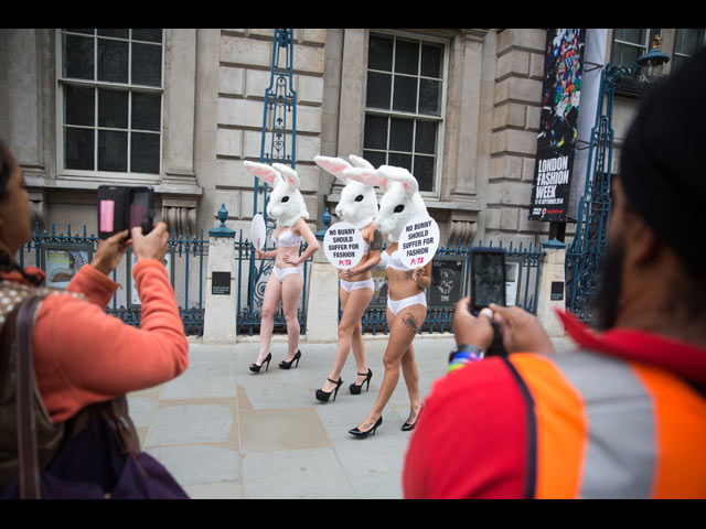 Акция PETA в Лондоне. 11 сентября 2014 года