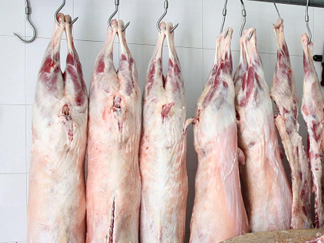 В Ашкелоне уничтожено около двух тонн испорченного мяса