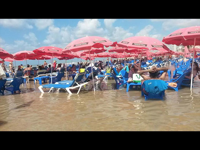 Пляж "Дельфинариум", 26 сентября 2014 года
