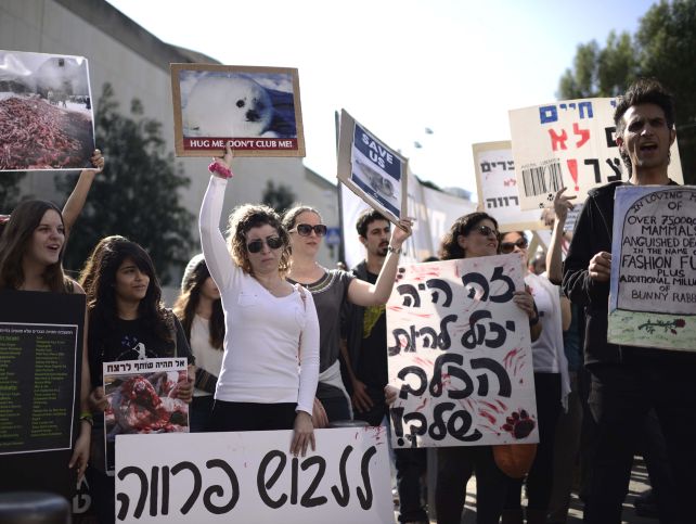 Акция борцов за права животных. Тель-Авив, 28.11.2014