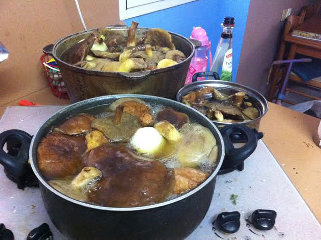 Под Ашкелоном