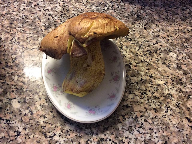 Мошав Тэлем (хевронское нагорье)