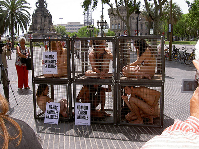 Акция активистов группы AnimaNaturalis. Барселона, 30 мая 2007 года