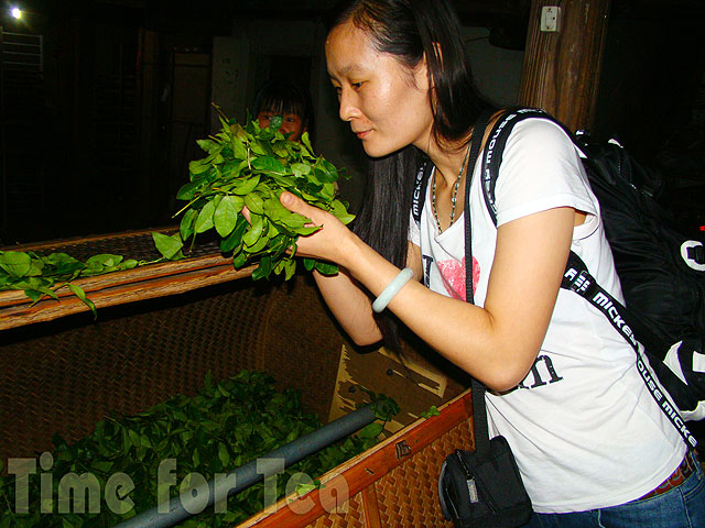 Лю Чжи Дон, наш партнер, - проверка листьев чая Те Гуан Ин на стадии производства 