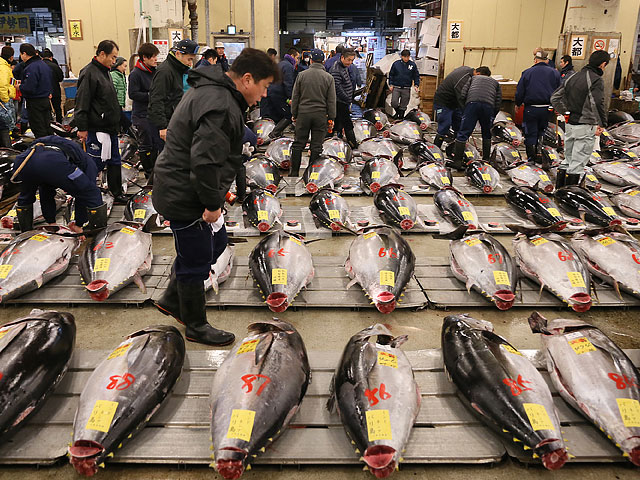 Рыбный рынок Цукидзи в Токио. 5 января 2015 года