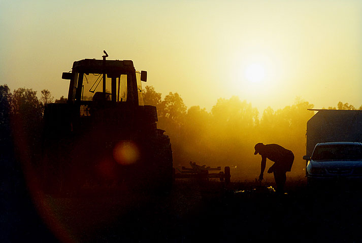 Убытки израильских фермеров от стихийных бедствий в 2014 году составили 250 млн шекелей  