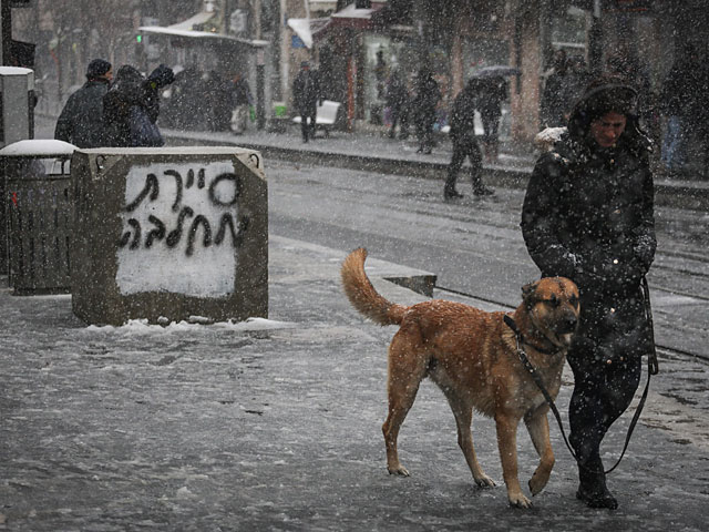 Иерусалим, 7 января 2015 года