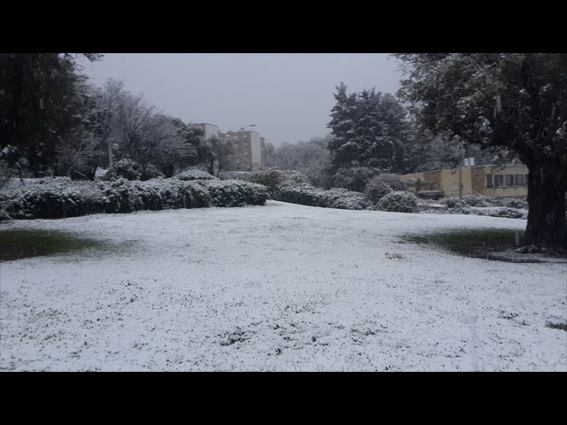 Кармиэль