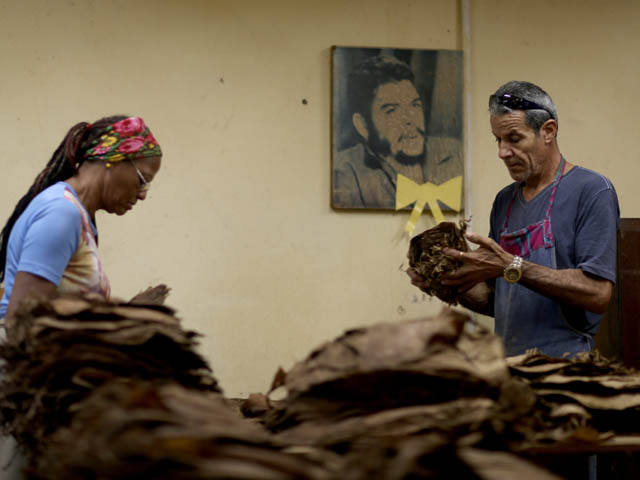 На сигарной фабрике