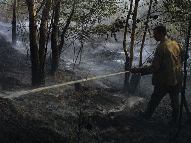 Лесные пожары в Хакасии: сгорели более 100 домов  