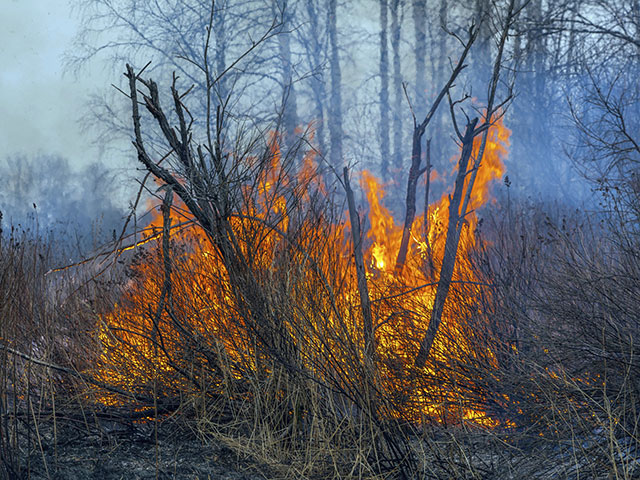 Жертвами лесных пожаров в Хакасии стали не менее 15 человек, сгорело 1.200 домов