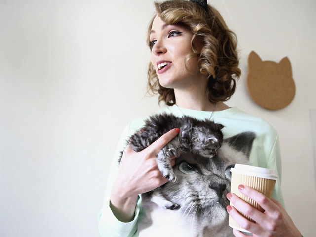 Kitten Cafe. Сидней, 14 мая 2015 года