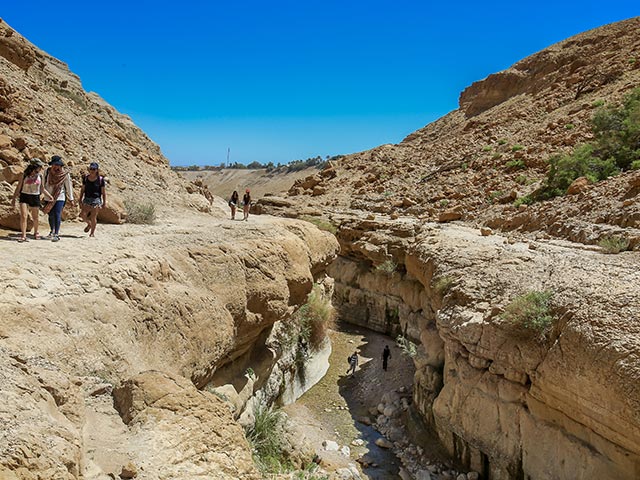 В районе Мертвого моря погибла туристка, десяткам девушек потребовалась медпомощь  