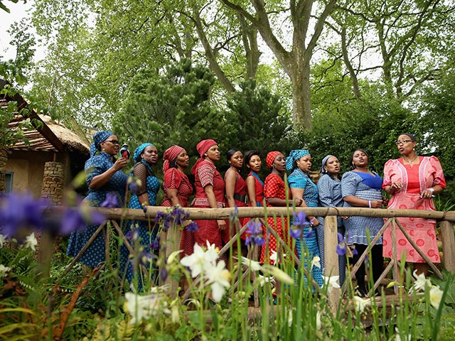 Chelsea Flower Show, май 2015 года