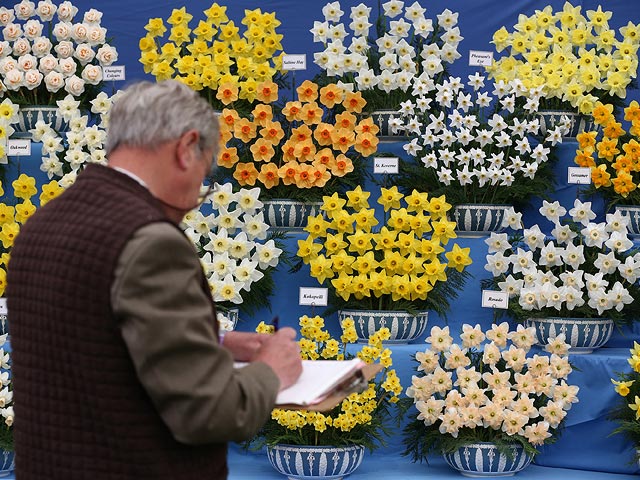 Chelsea Flower Show, май 2015 года