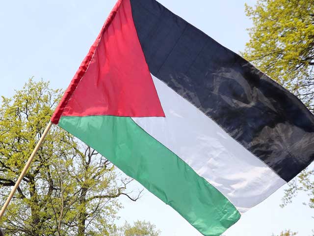 Женщины с палестинским флагом прервали речь президента ФИФА