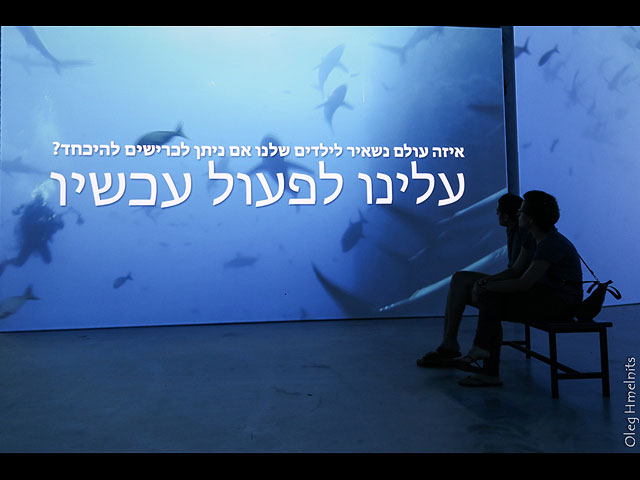 Выставка "Мир акул" в Тель-Авиве