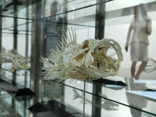 Выставка Art Basel, июнь 2015 года