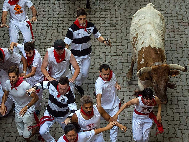 Забеги с быками в Памплоне