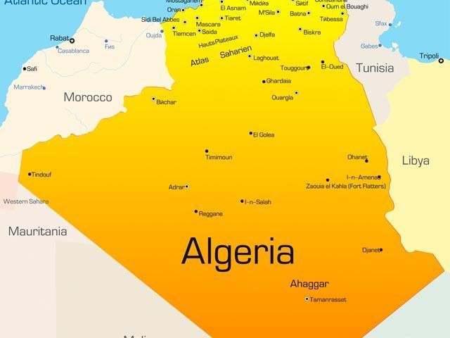 Террористы убили 11 алжирских военнослужащих