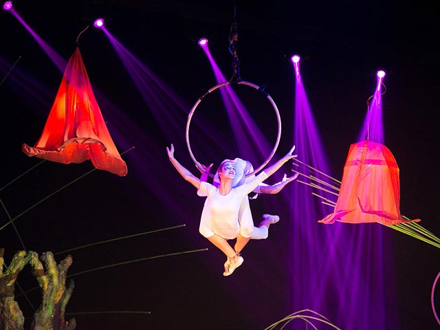 В дни праздника Суккот, с 28 сентября по 3 октября, состоятся выступления Цирка "Bravo"