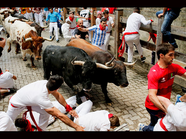 Во время забега с быками в испанском городе Куэльяр погиб мужчина  