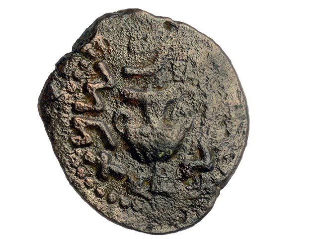Монетка времен восстания Бар-Кохбы, найденная в почве у подножия подиума