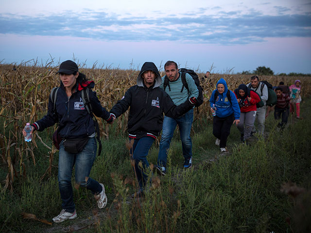 Сирийские беженцы на Венгерской границе. 8 сентября 2015 года