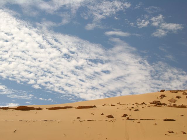 В Западной пустыне (Египет)