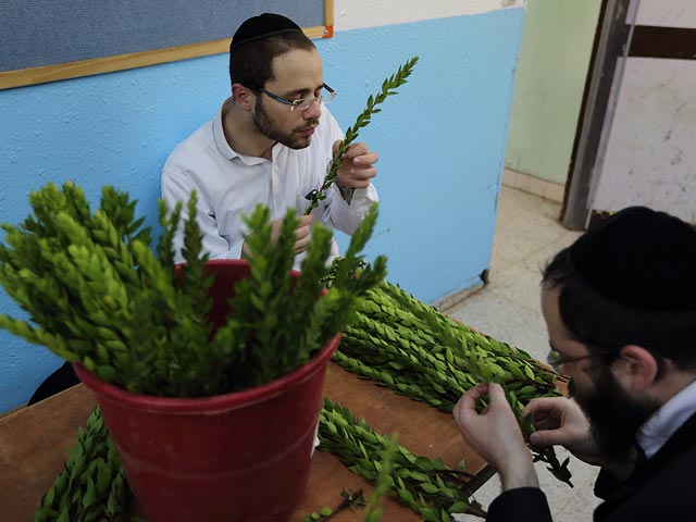 Израиль готовится к празднику Суккот  