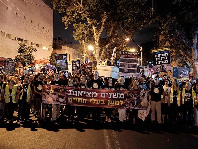 Митинг против жестокого обращения с животными. Тель-Авив, 3 октября 2015 года