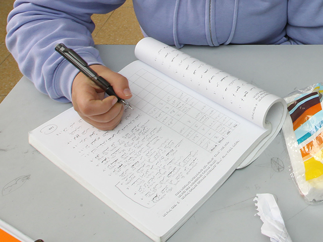 Число еврейских школьников, изучающих арабский язык, резко выросло  