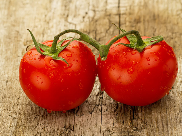 Фермеры бьют тревогу: томаты, завезенные из Иордании, заражены вирусом  