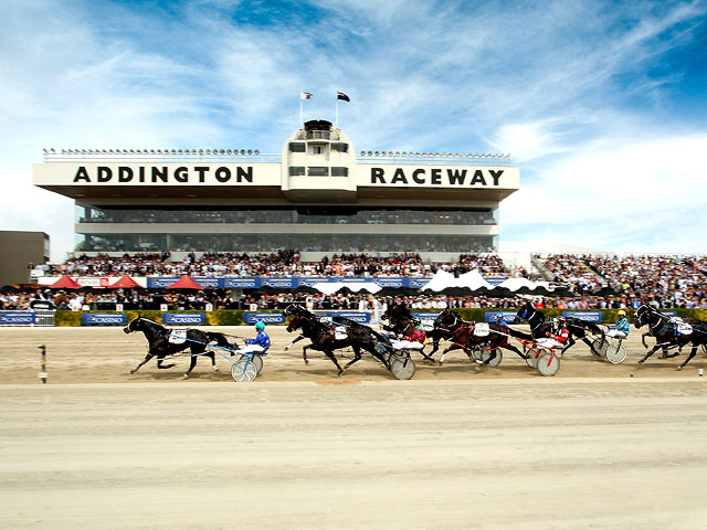 Trotting Cup в Новой Зеландии. 10 ноября 2015 года